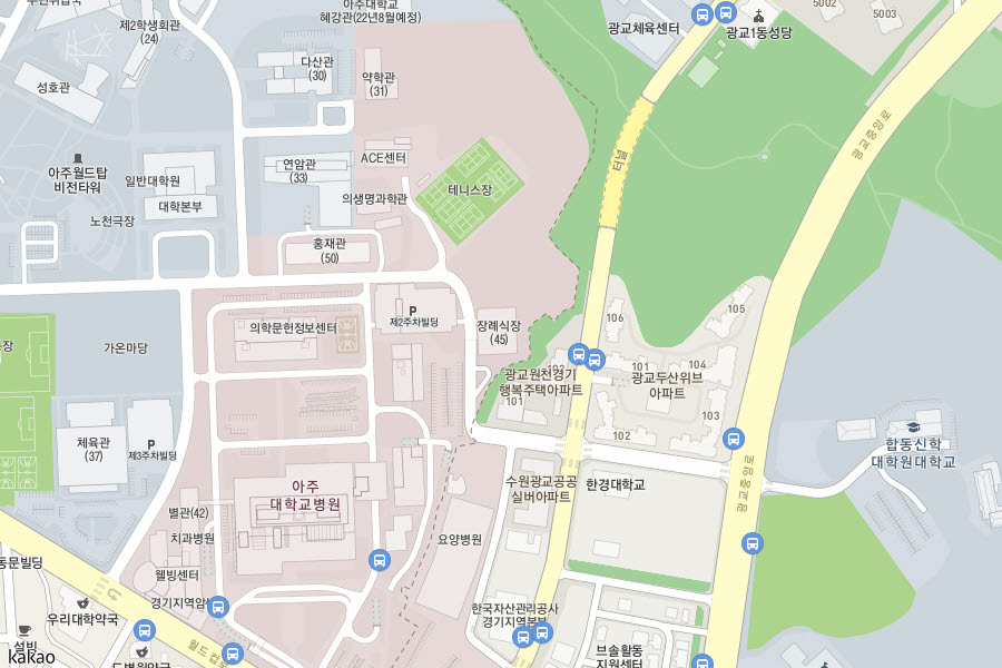 지도 이미지