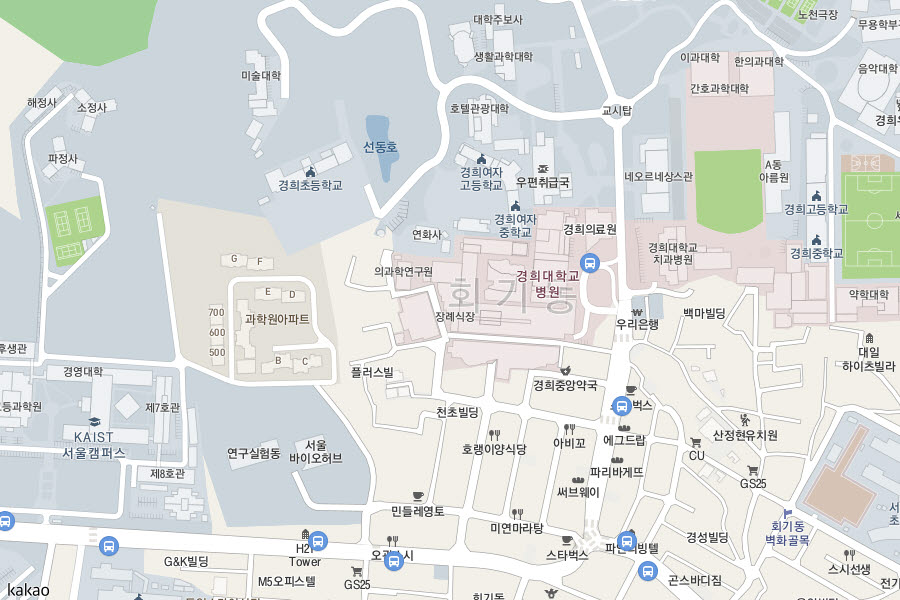 지도 이미지